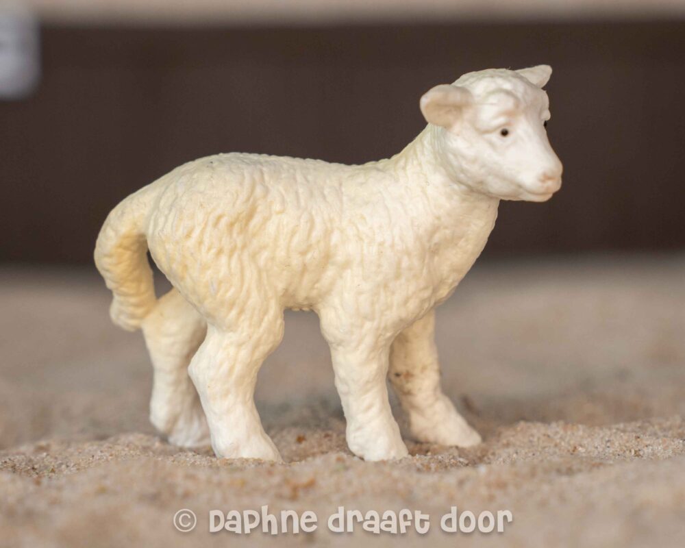 Schaap lammetje 13113