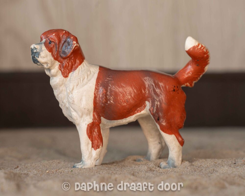 Sint Bernard hond 13203