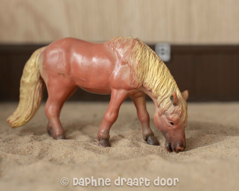 Grazende haflinger 13209