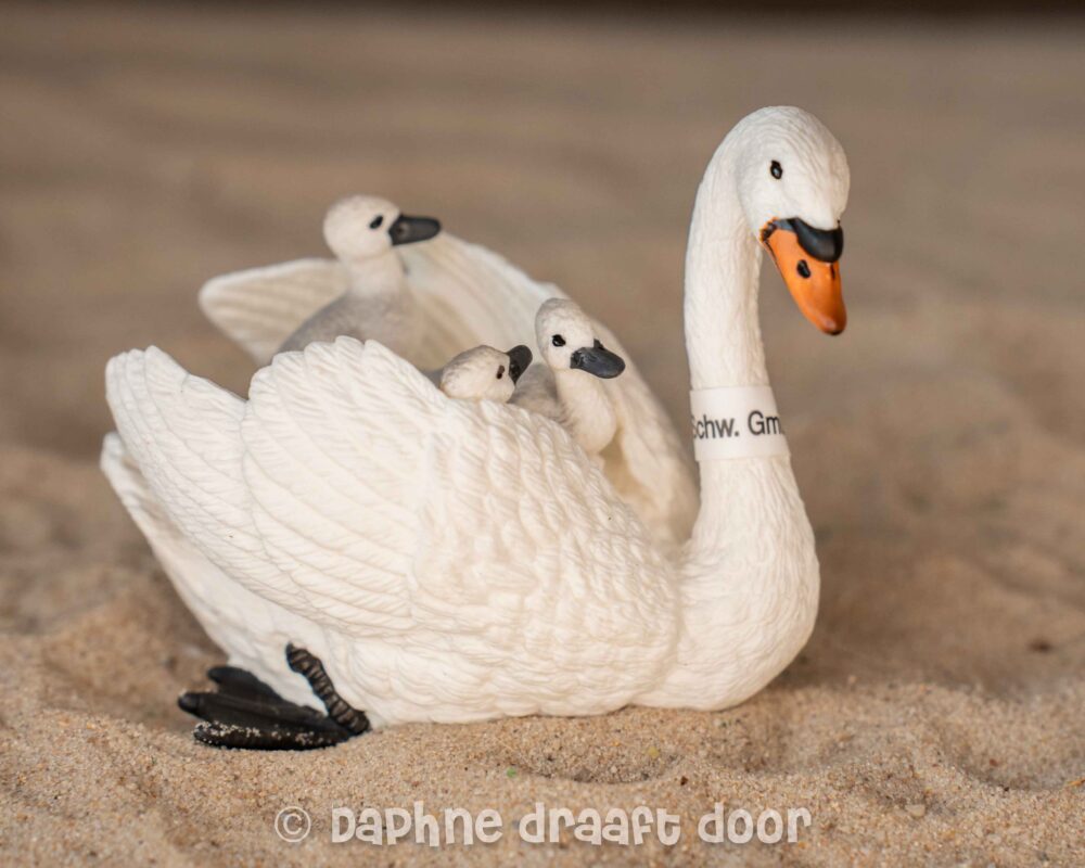 Zwaan en jongen met vaantje 13718