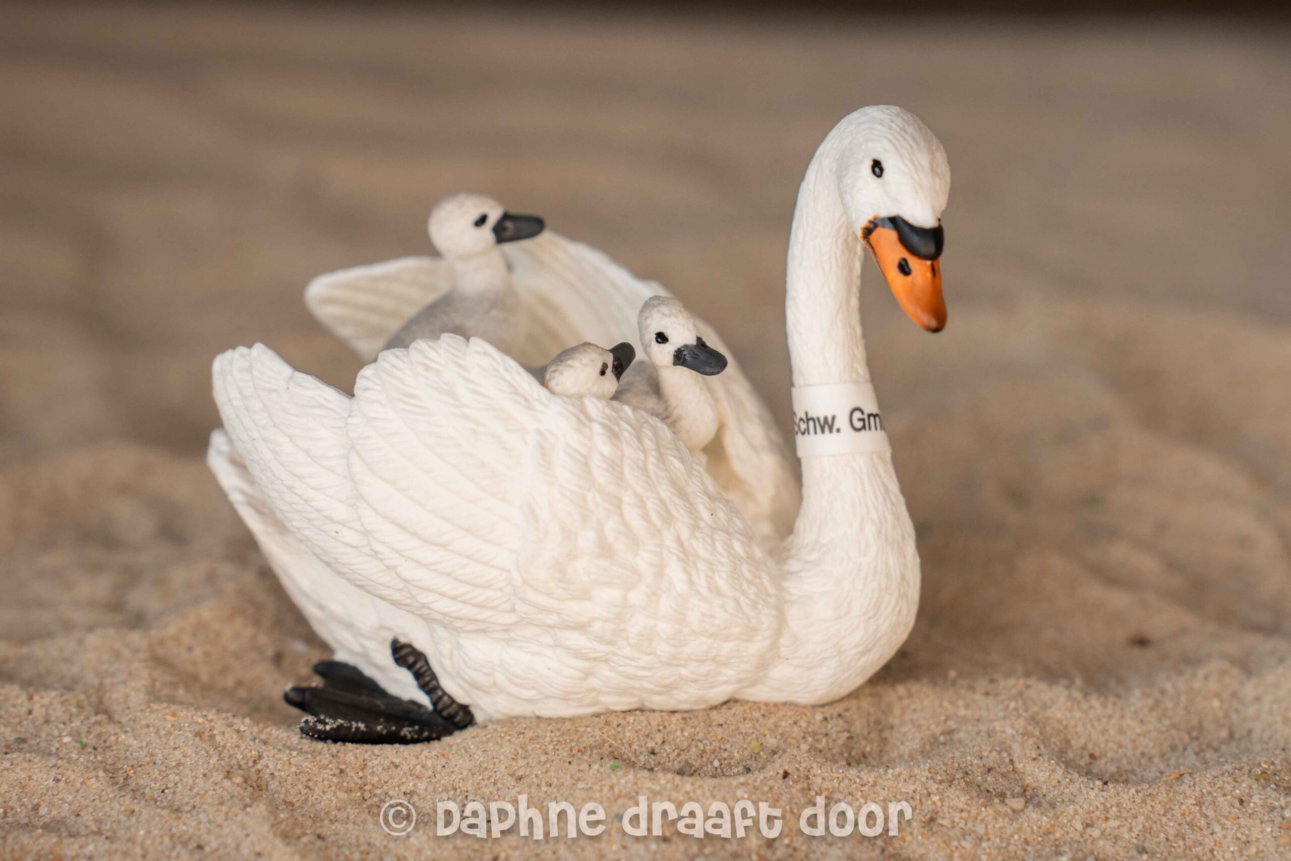 Zwaan en jongen met vaantje 13718