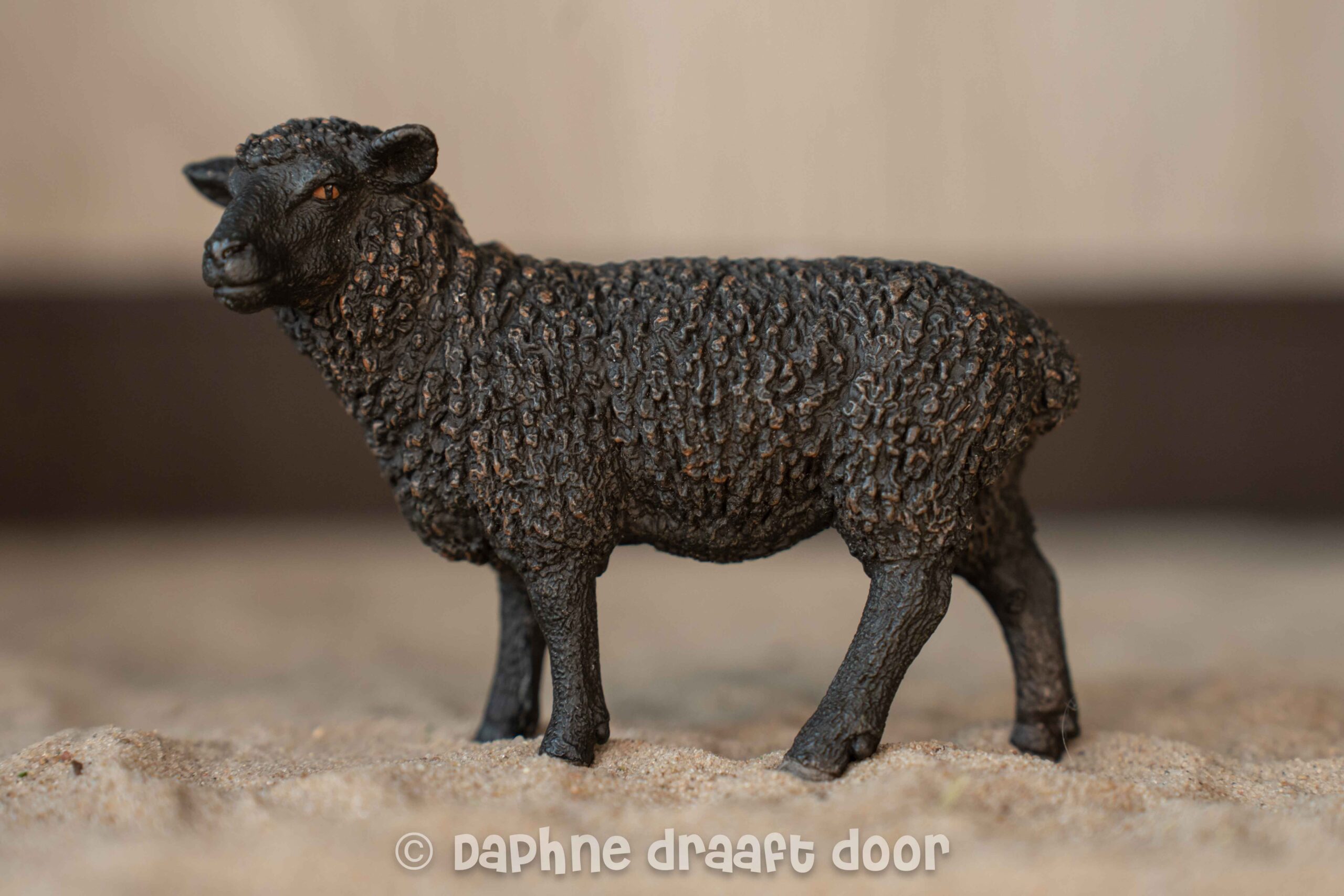 Schaap zwart 13785