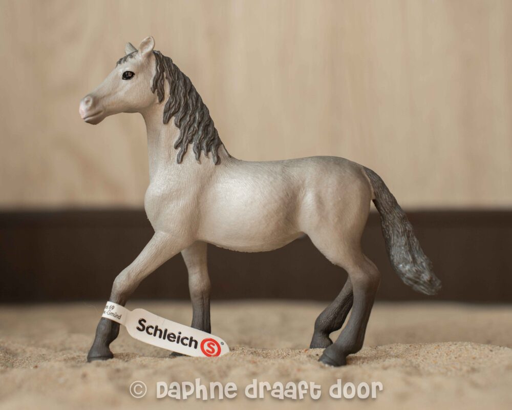 Pura Raza Espanola jaarling 13924