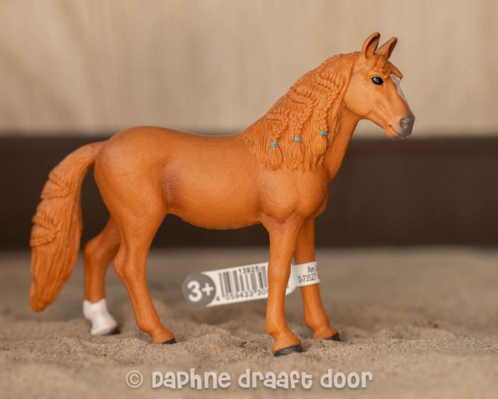 Duitse rijpony merrie 13925