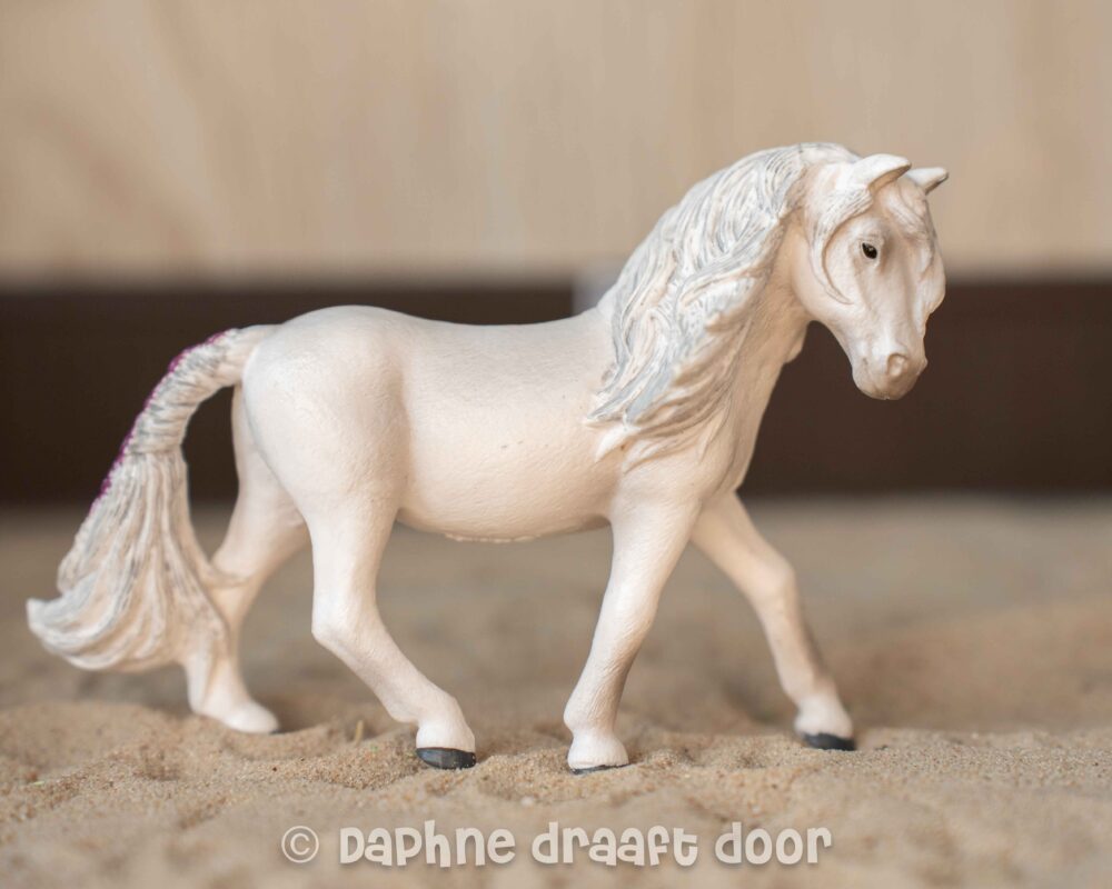 IJslander merrie 13942