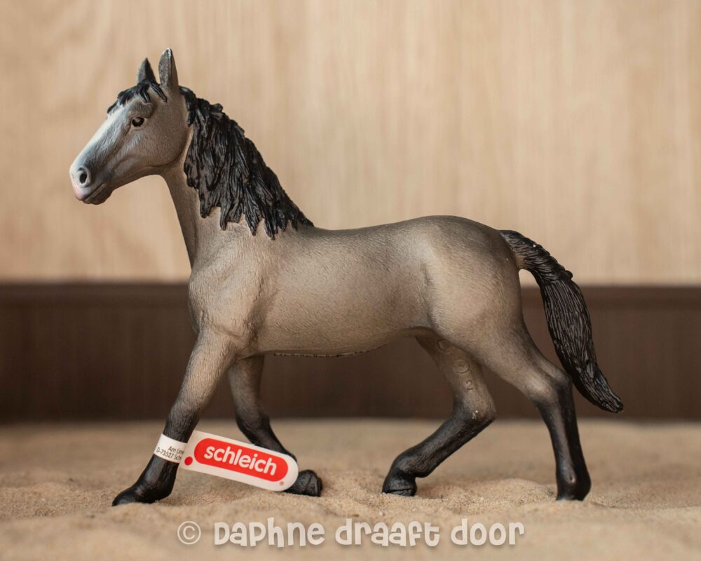 Cheval de Selle Francais merrie 13955