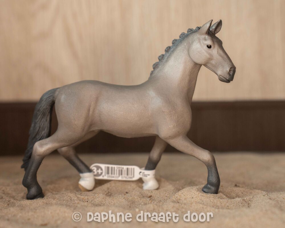 Cheval de Selle Francais hengst 13956