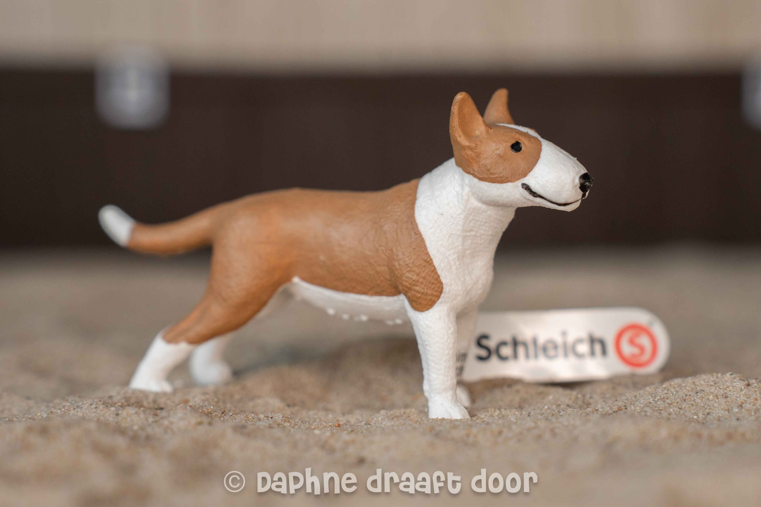 Bullterriër hond 13966