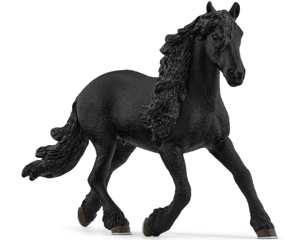 Friese hengst 13975