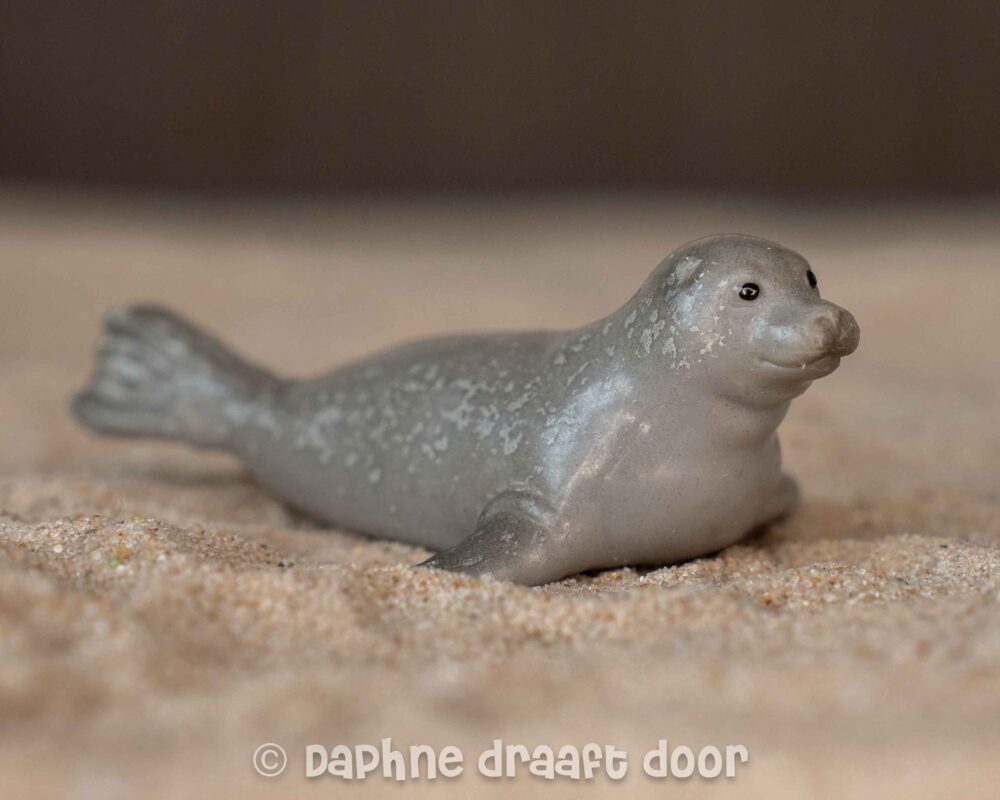 Zeehond jong 14169