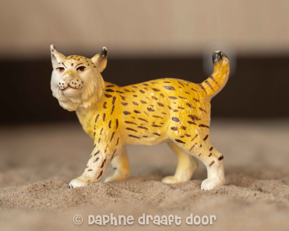 Lynx 14232