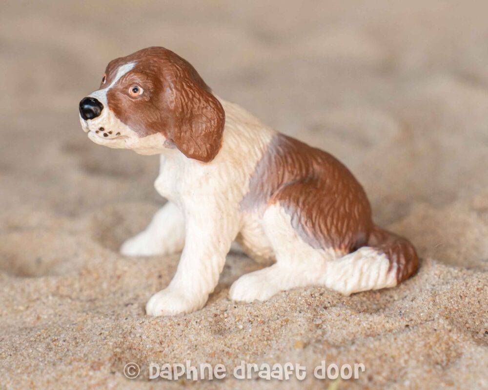 Puppy 14410