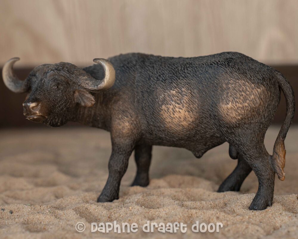 Afrikaanse buffalo 14640