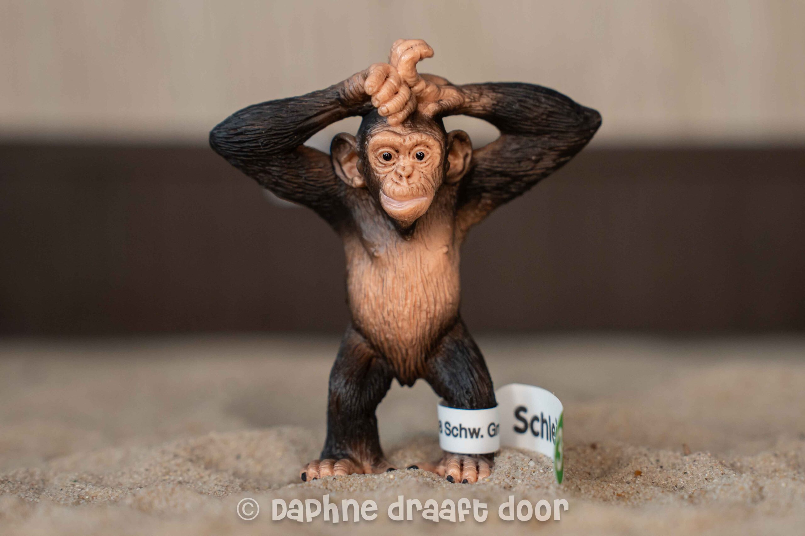 Chimpansee met vaantje 14680