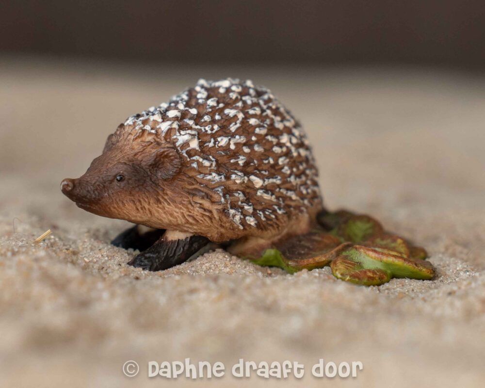 Egel 14713