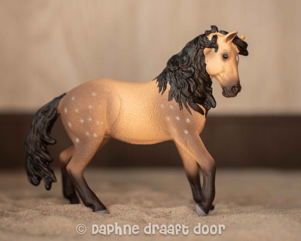 Andalusier merrie 14894