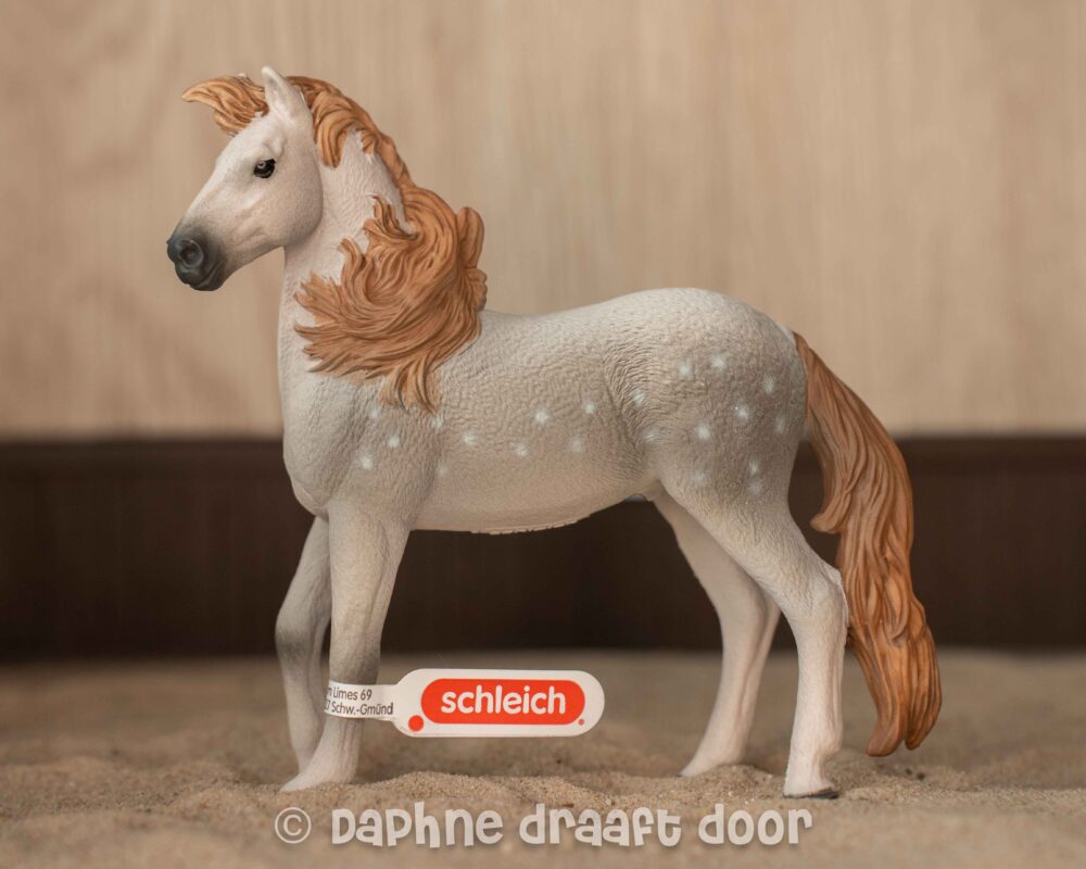 Andalusier hengst 14895