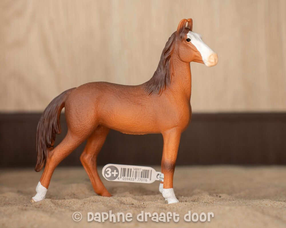 Marwari merrie 14897