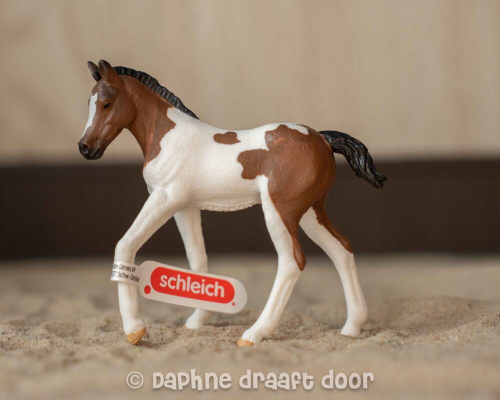 Paint Horse veulen 14899