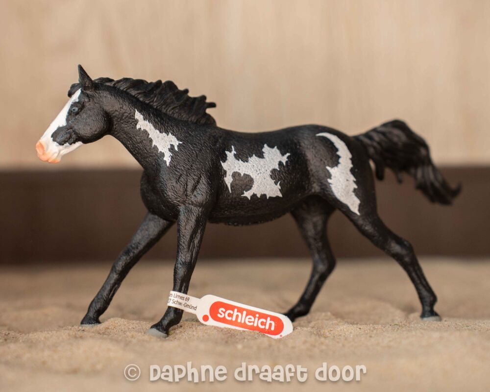 Paint Horse ruin 14900