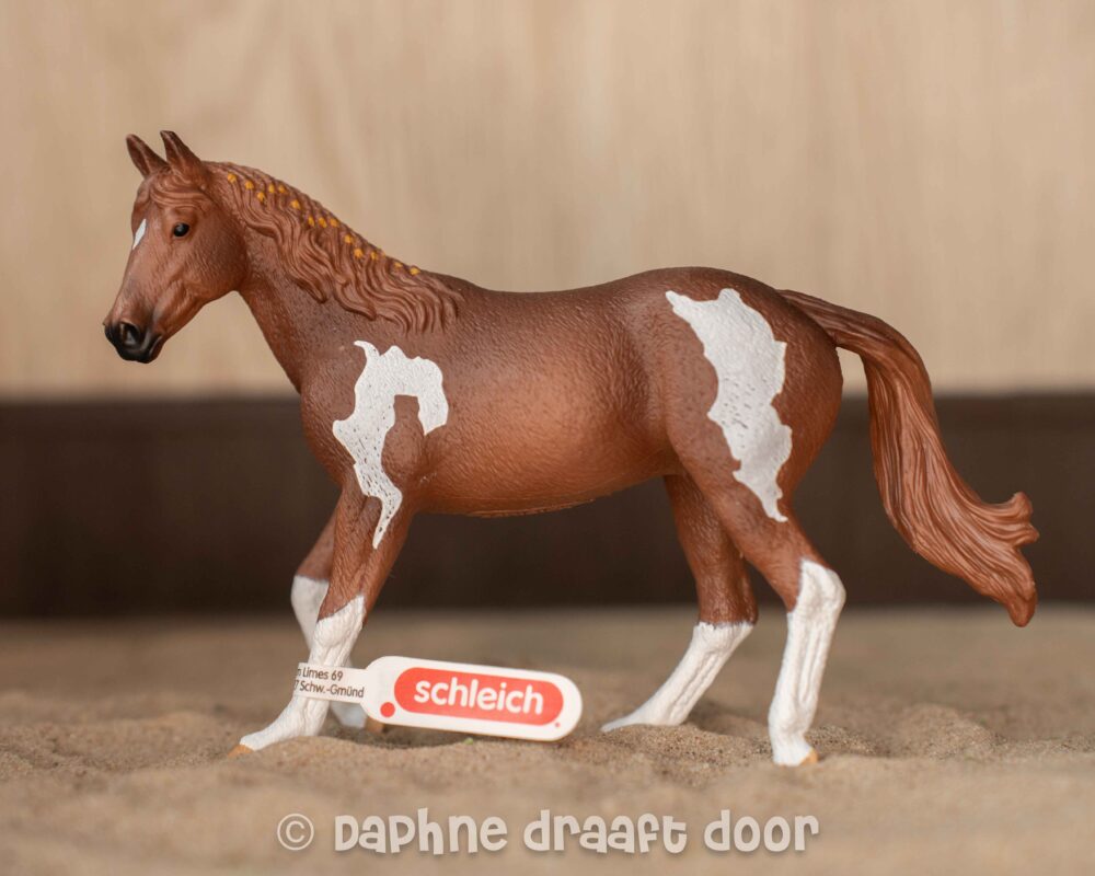Paint Horse merrie 14901
