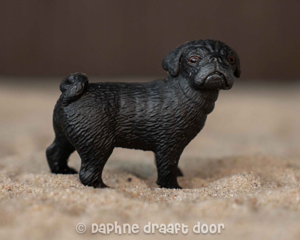 Mopshond vrouw 16382