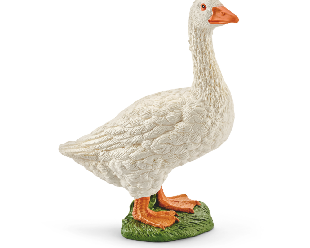 Gans 17063