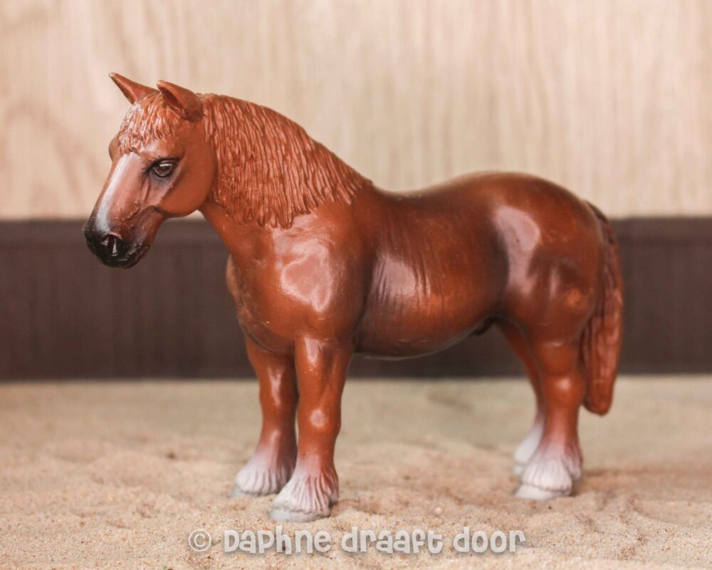 Koudbloed ruin 13244