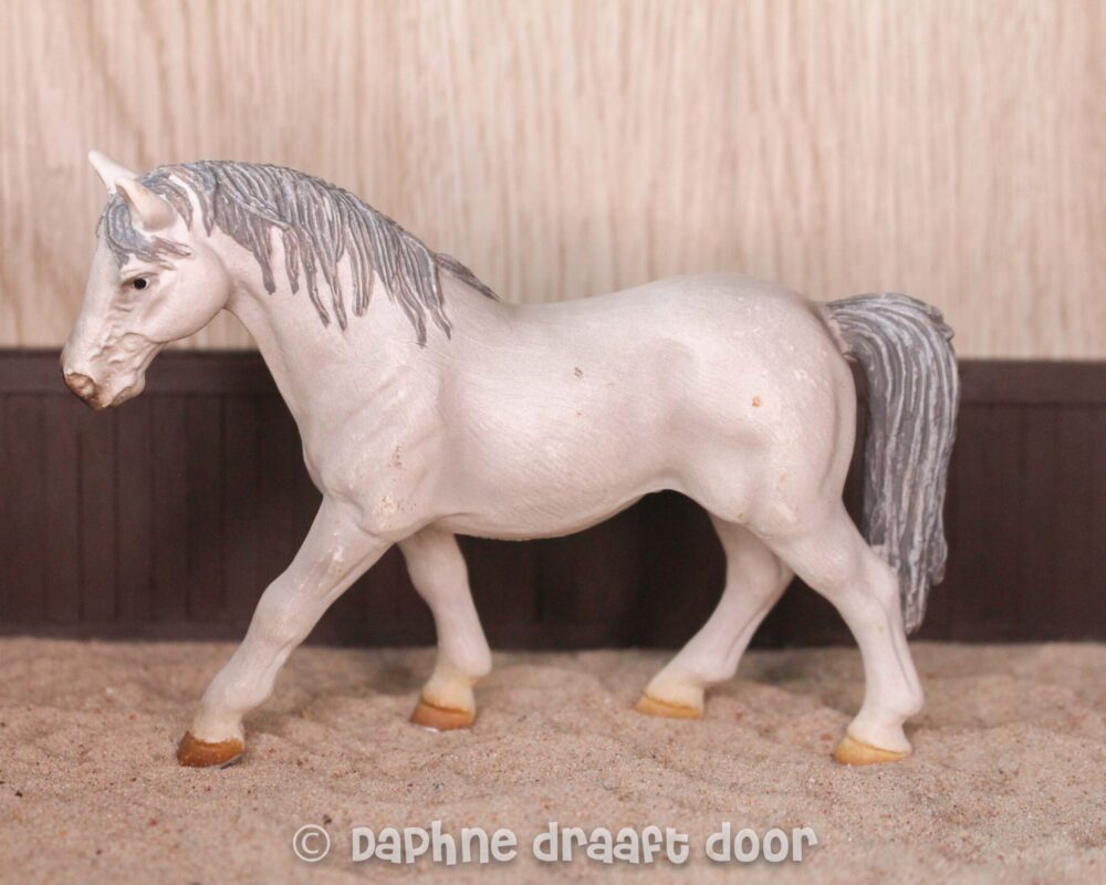 Lipizzaner merrie 13603