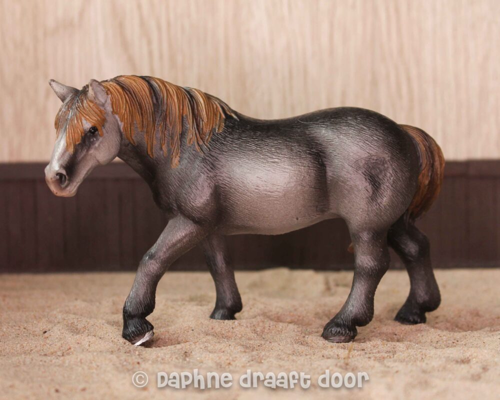 Percheron merrie 13626