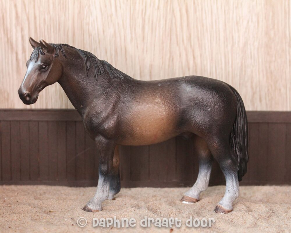 Hannoveraan hengst 13649