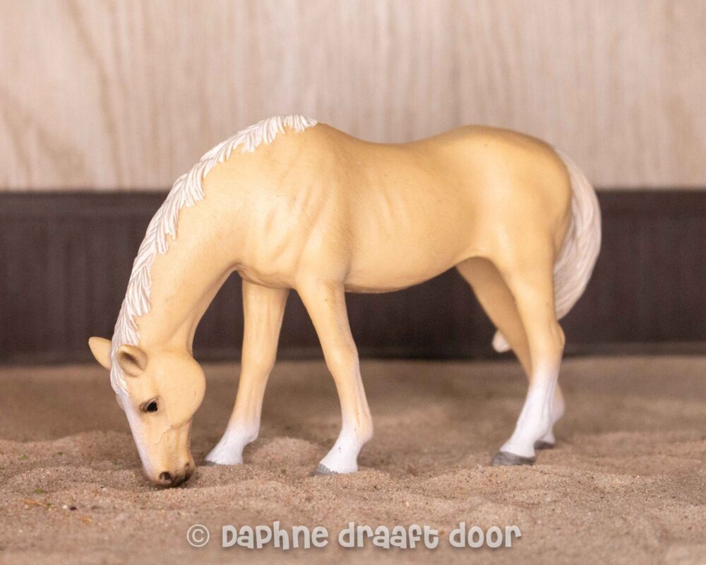 Grazende Akhal Teke merrie 13701