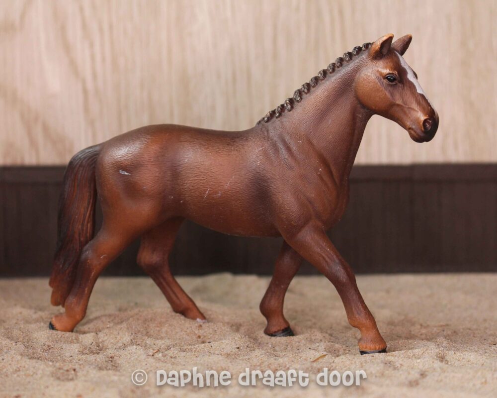 Hannoveraan merrie 13729