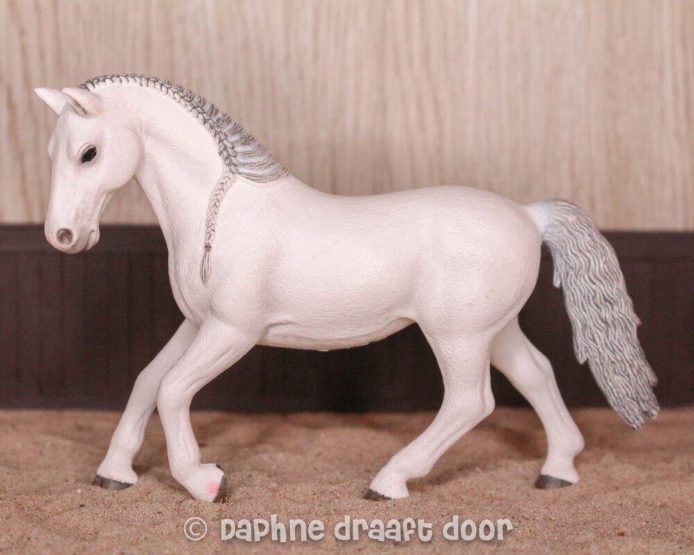 Lipizzaner merrie 13737