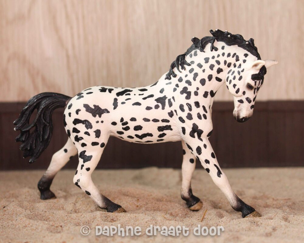 Knabstrupper merrie 13769