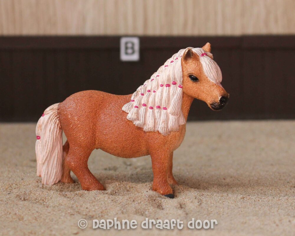 Mini shetlander merrie 13776