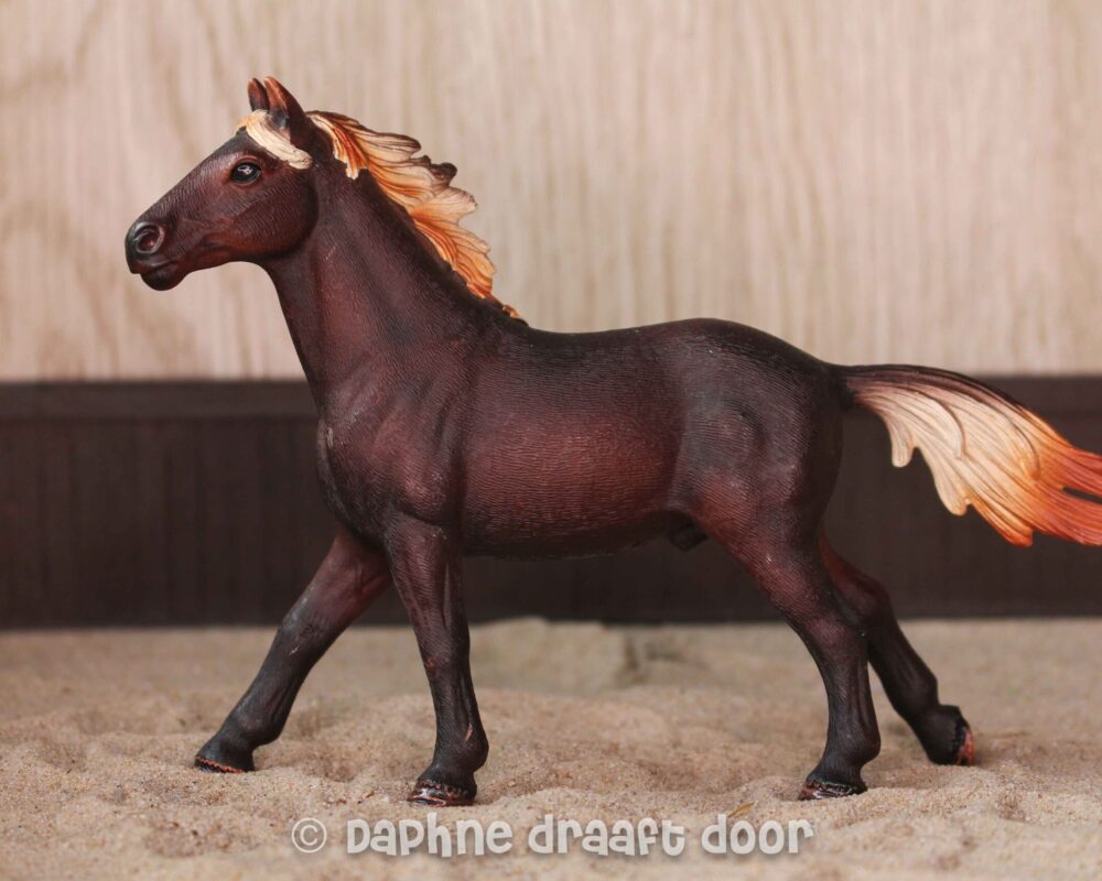 Mustang hengst 13805