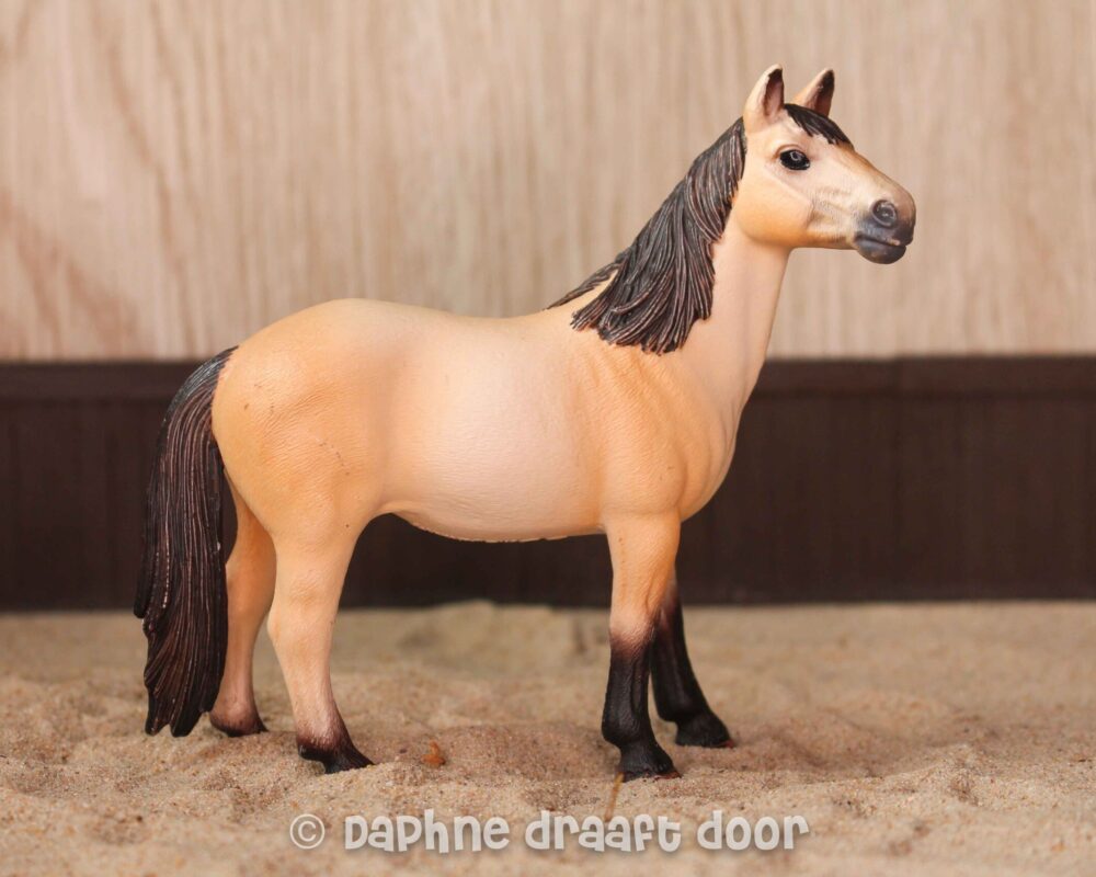 Mustang merrie 13806