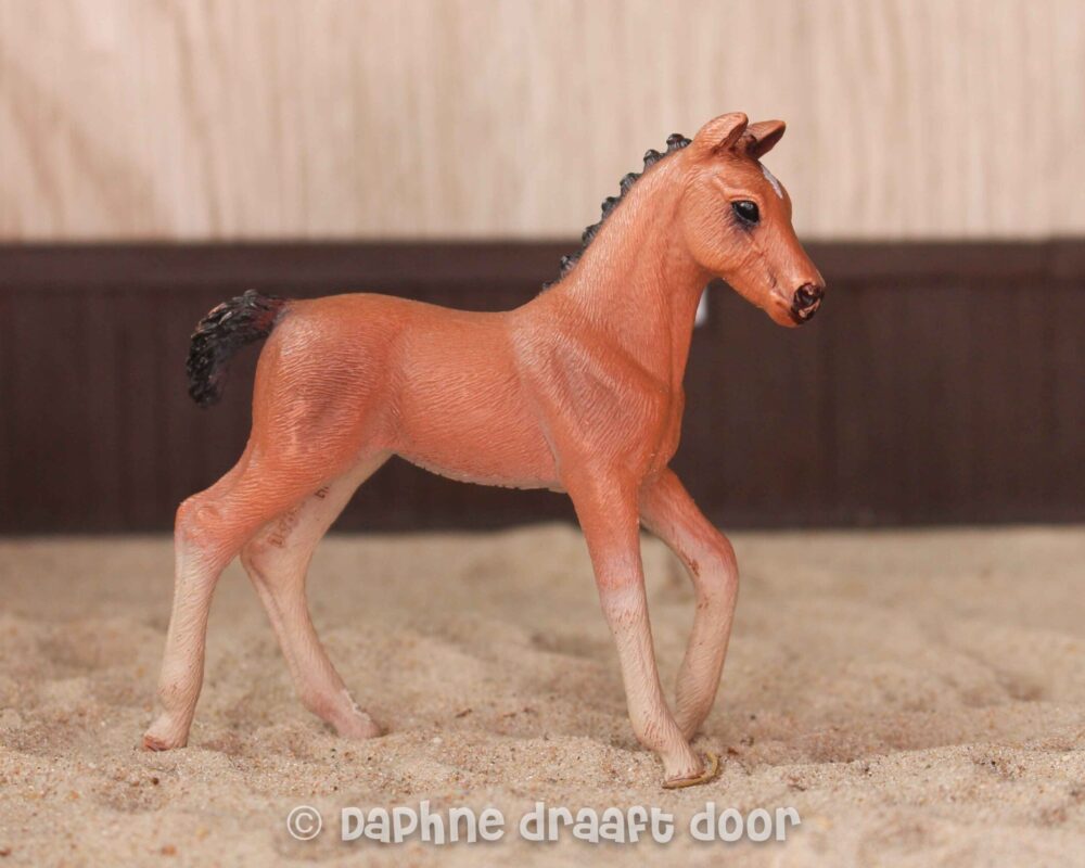 Hannoveraan veulen 13818