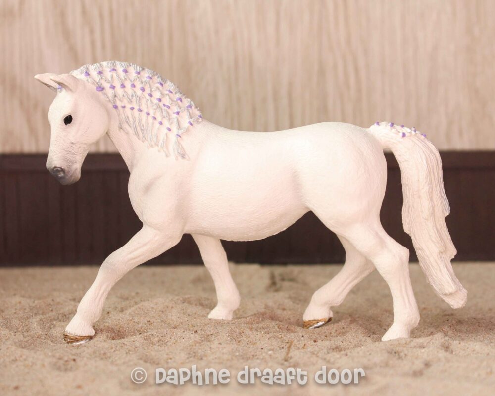 Lipizzaner merrie 13819