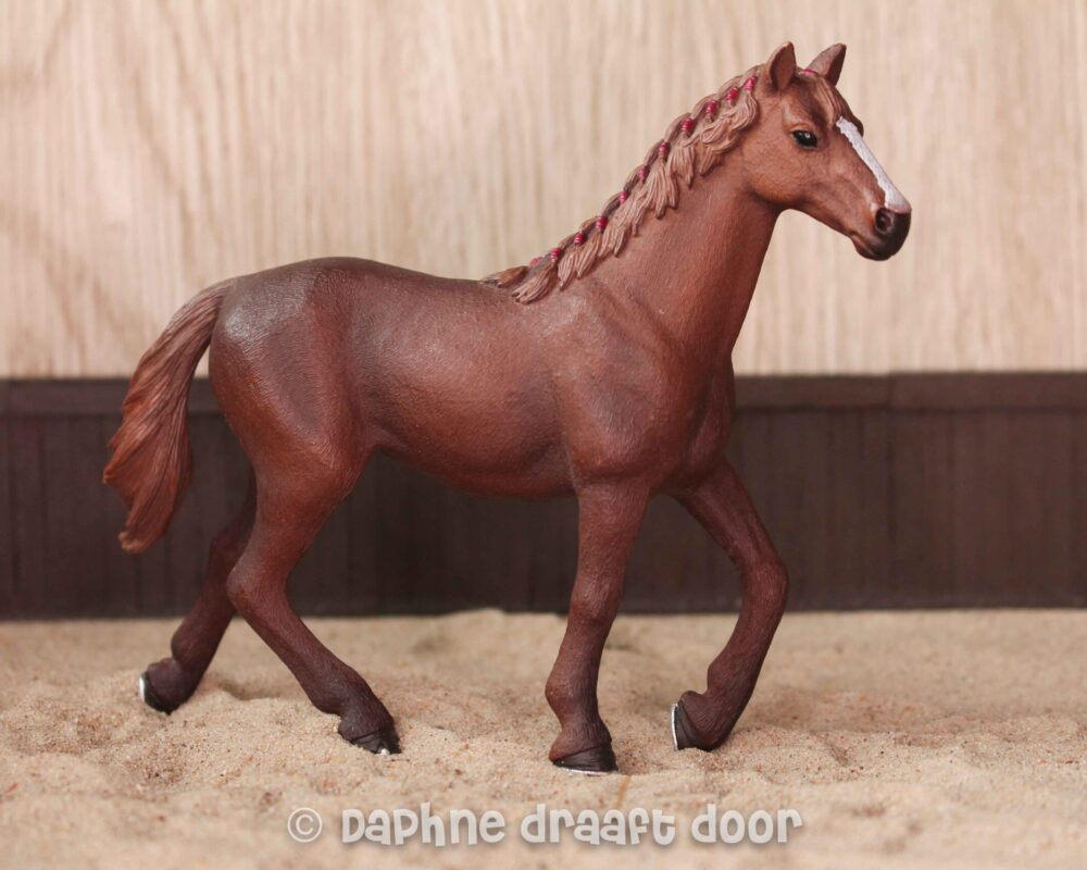 Engelse volbloed merrie 13855