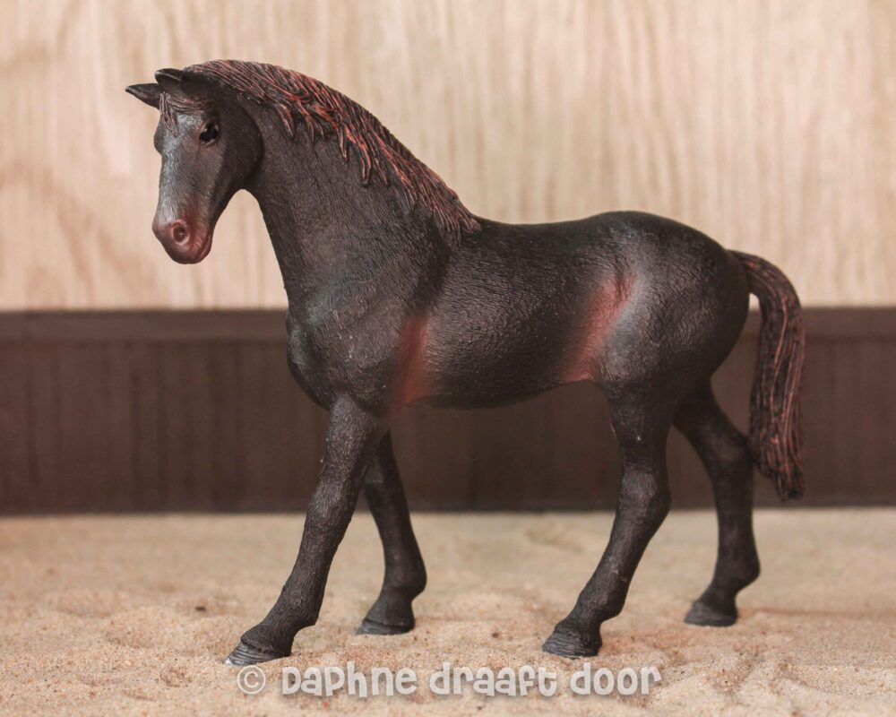 Engelse volbloed hengst 13856