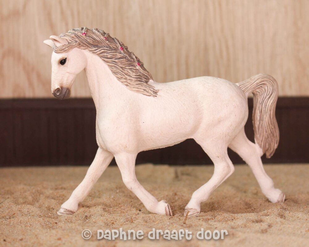 Holstein merrie 13858