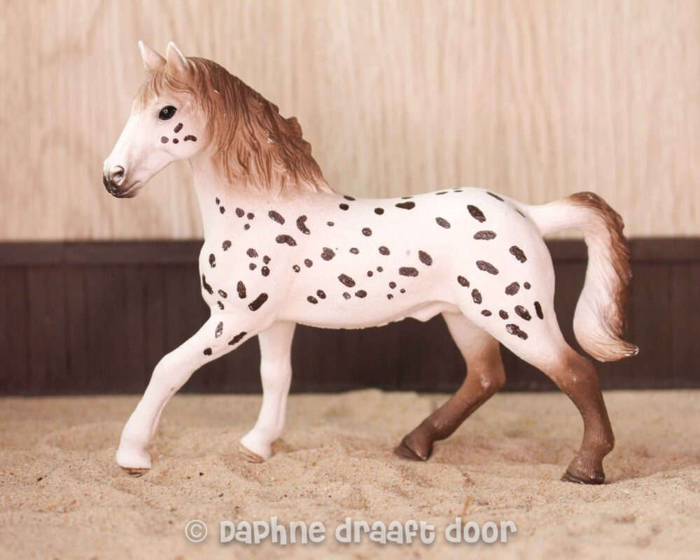 Knabstrupper hengst 13889