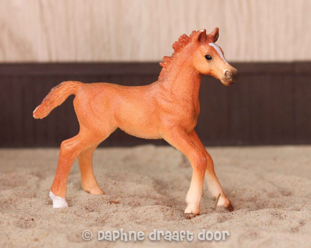 Engelse volbloed veulen uit set 42361