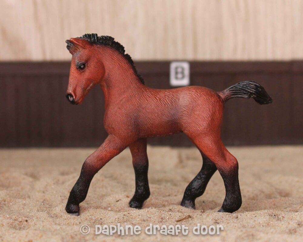 Andalusiër veulen uit tijdschrift 82925