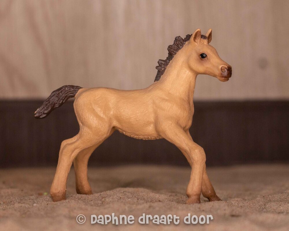 Engels volbloed veulen uit adventskalender 97780