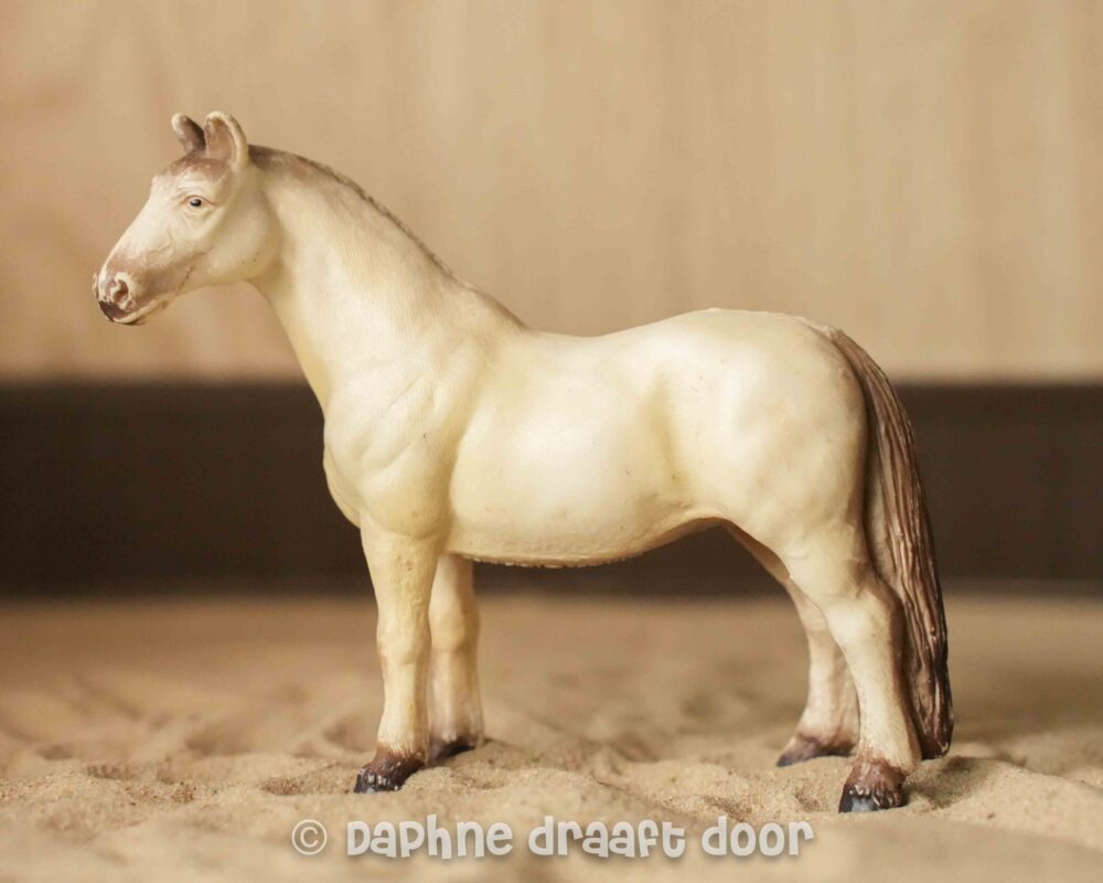 Hannoveraan merrie 13228