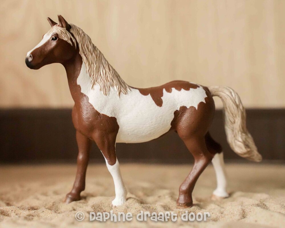 Paint Horse ruin 13885