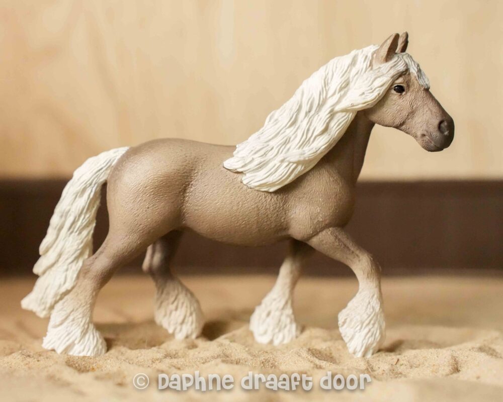 Silver Dapple merrie 13914